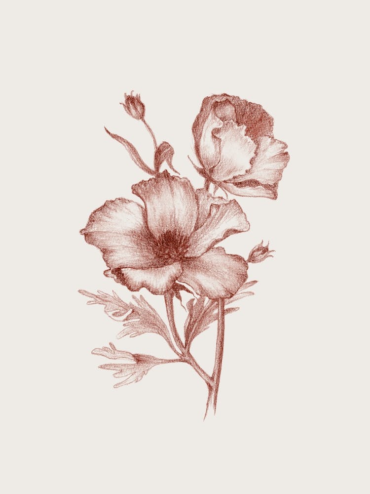 Flower No76a Aga Szafranska