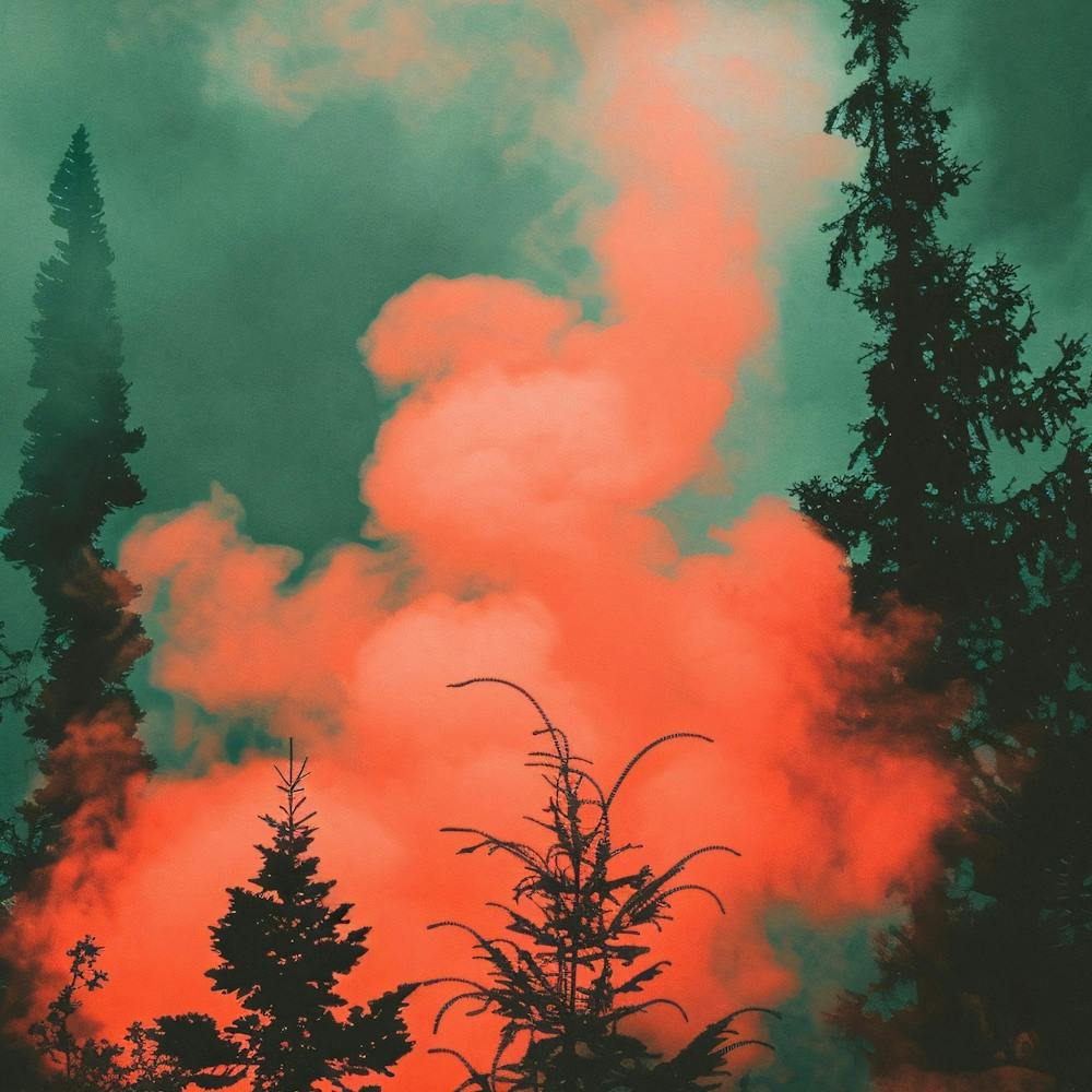 Smoke In The Forest