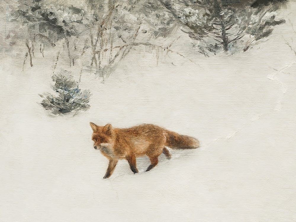 Fox In The Snow Vintage Winter Art
