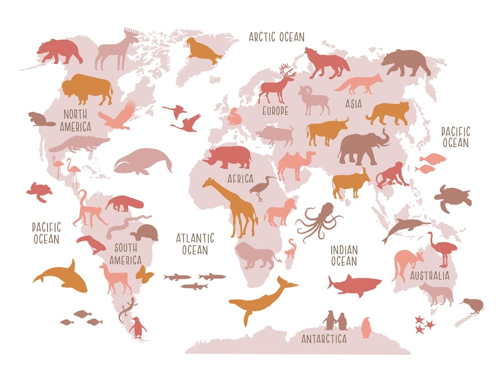 Baby Girl Room Decor, World Map Poster in Pink