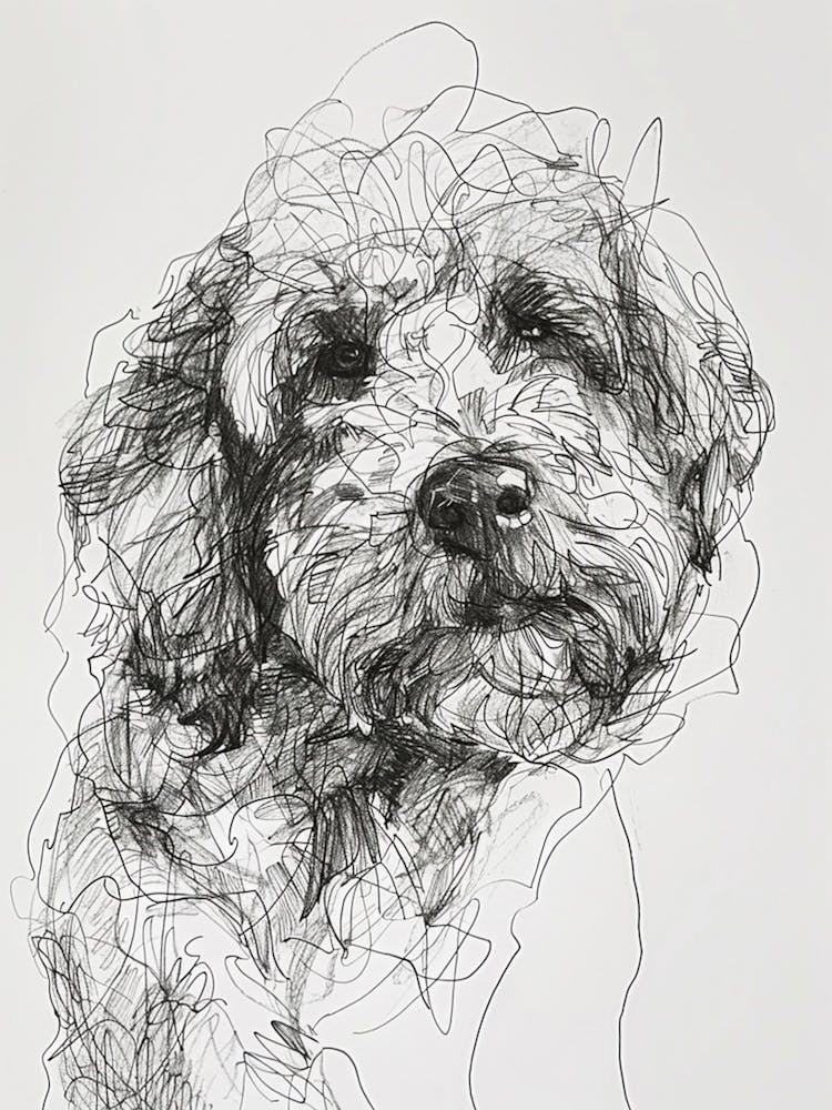 Long Hair Furry Dog Line Sketch 5