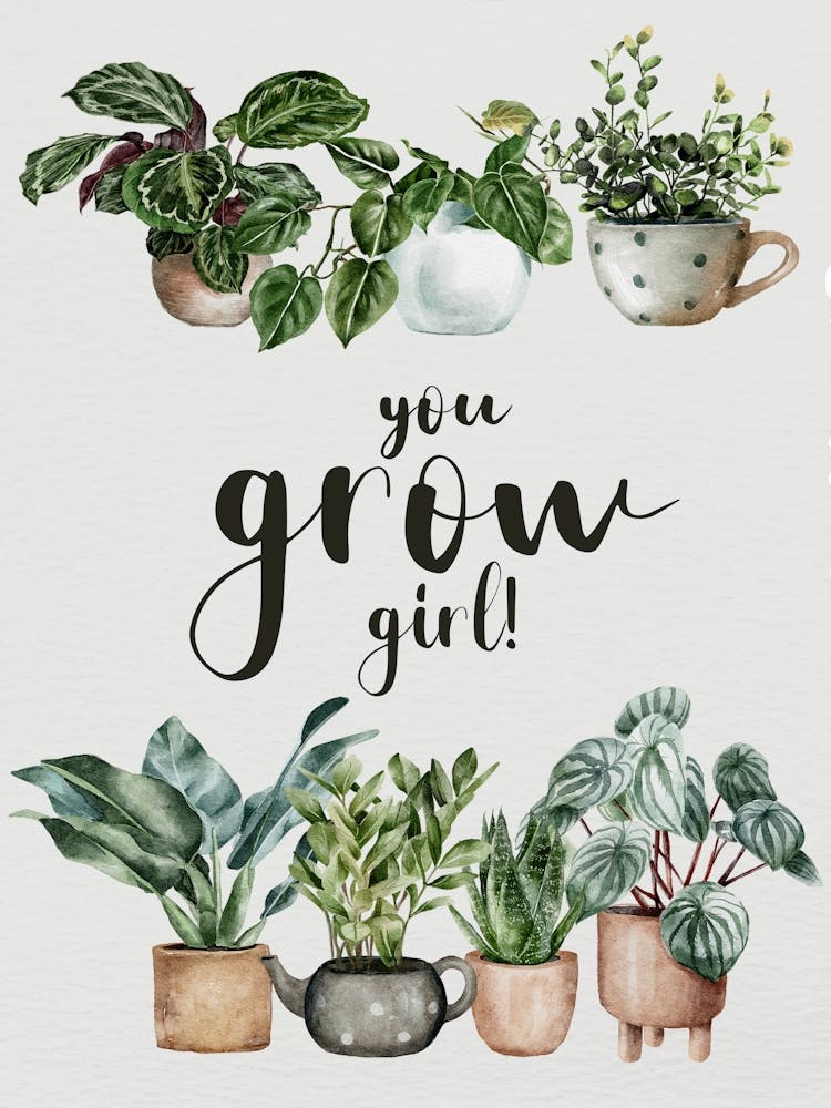 You Grow Girl