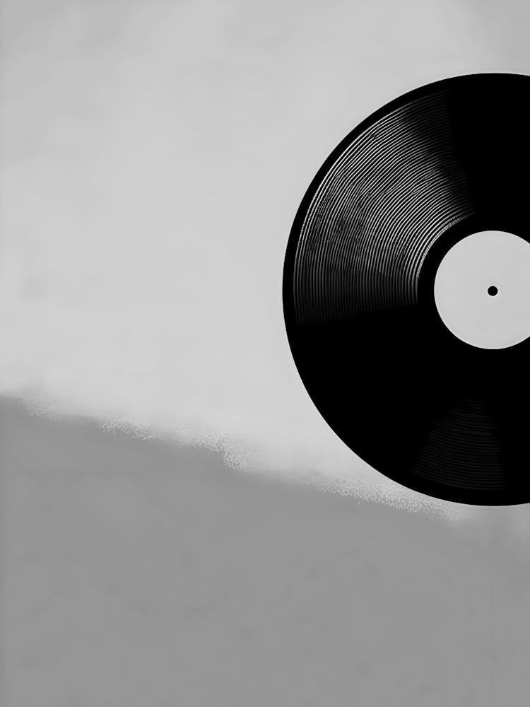 Vinyl Record 1