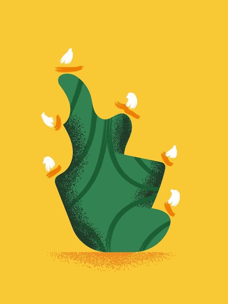 Cactus n2
