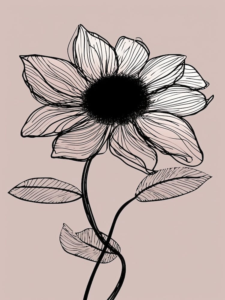 Line Art Sunflower Flowers Illustration Neutral 12