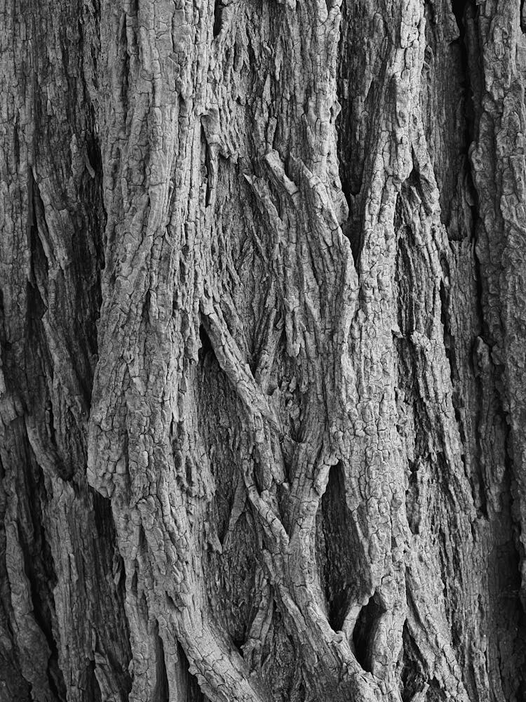 texture