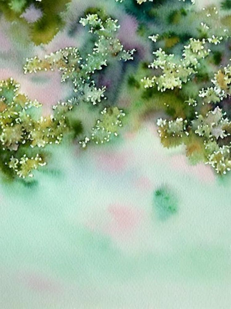 Acropora Formosa Iii Storybook Watercolour