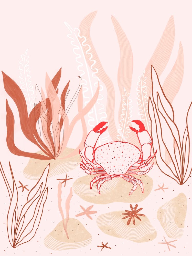 Pink Corals