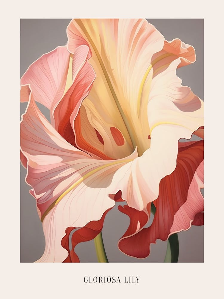Floral Illustration Gloriosa Lily 4 Poster