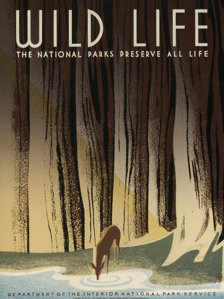 National Parks Vintage Poster