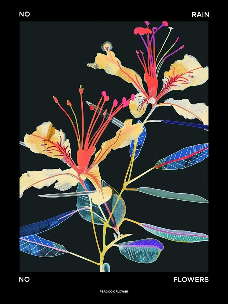 No Rain No Flowers Poster Peacock Flower 1