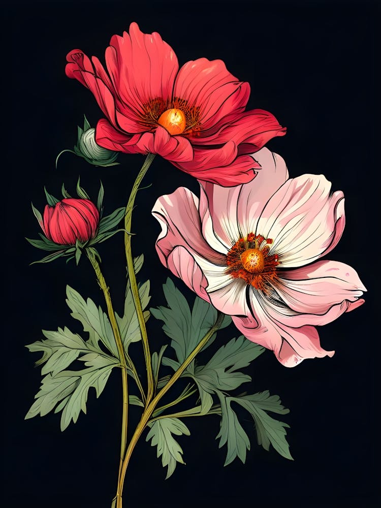 Red And White Anemones