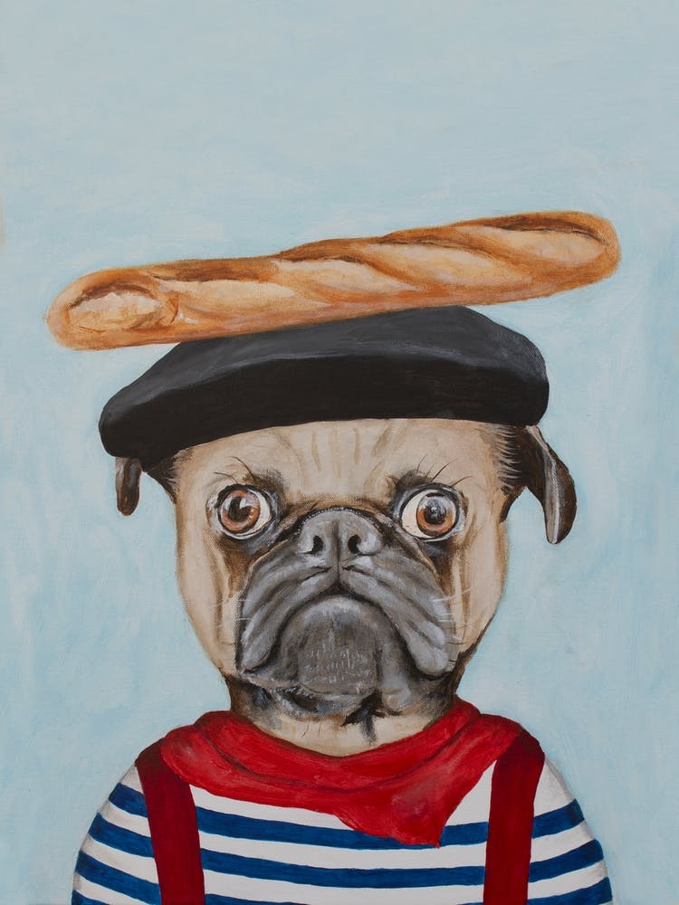 French Pug 2