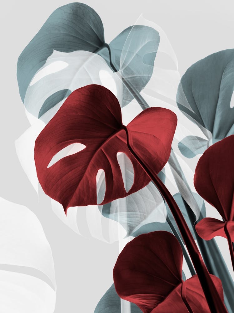 Monstera Leaves Red Metallic_2058439