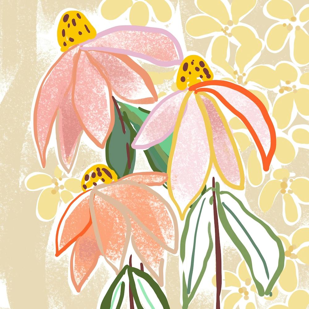 Flowers Sonnenhut F