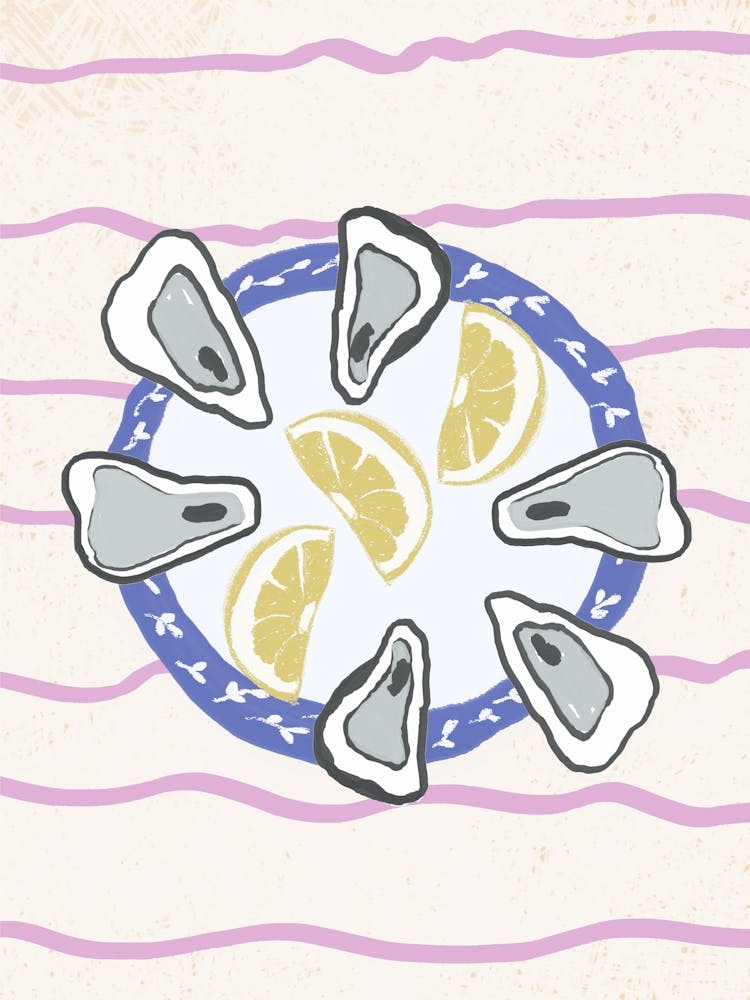 Hand Drawn Oysters