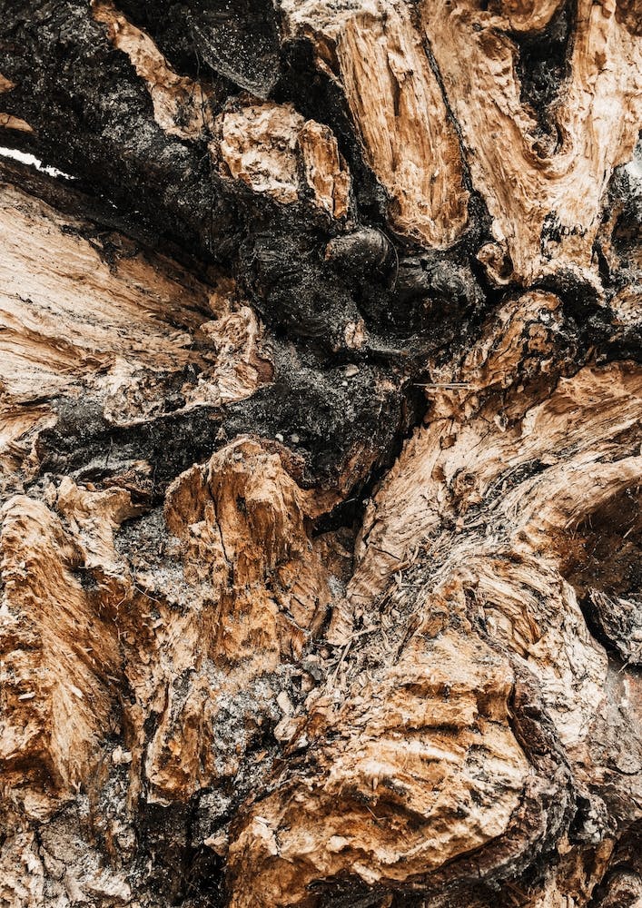 Bois Naturel Artistique