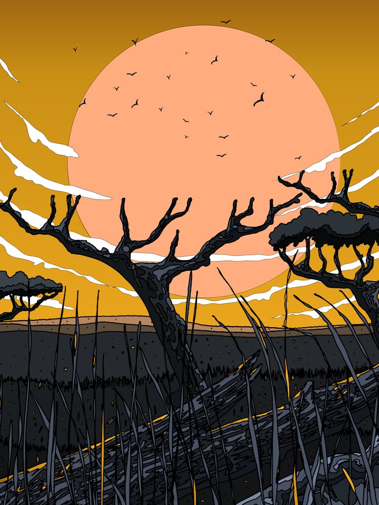 Sunset In The Savannah