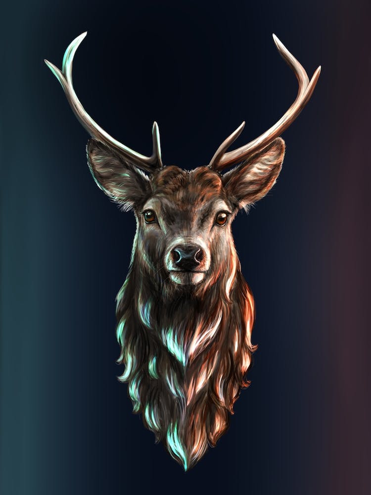 A deer 1