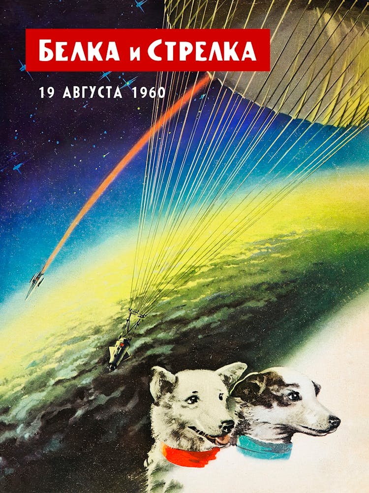 Belka and Strelka, USSR, 1960 (First Soviet space dogs) — Soviet vintage space poster