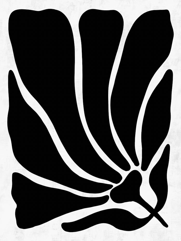 Black And White Flower 36