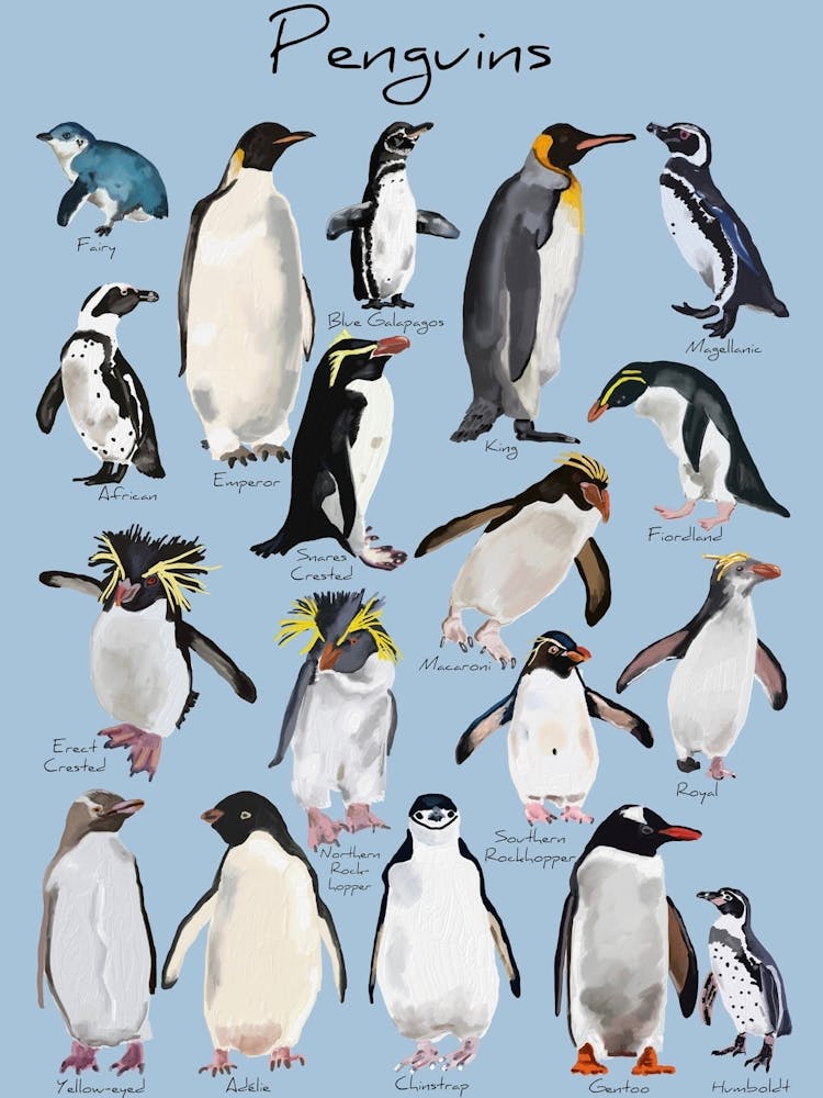 Penguins