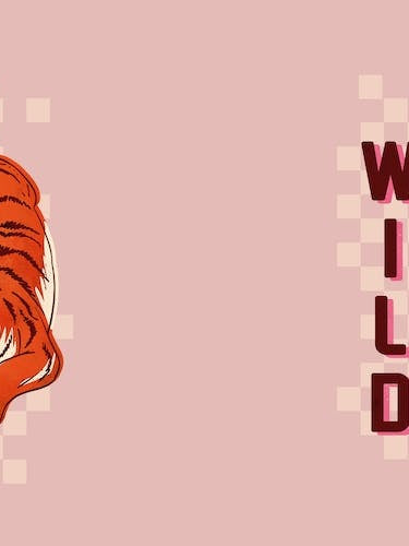 Be Wild Tiger