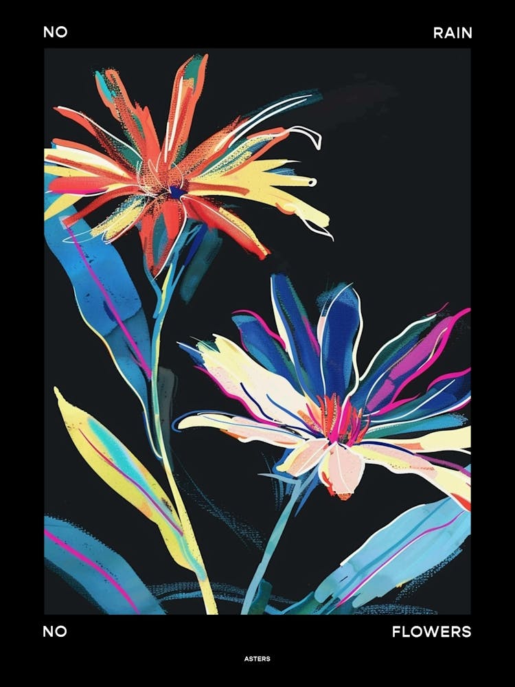 No Rain No Flowers Poster Asters 5
