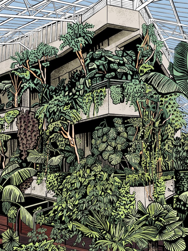 Barbican Conservatory Concrete Jungle