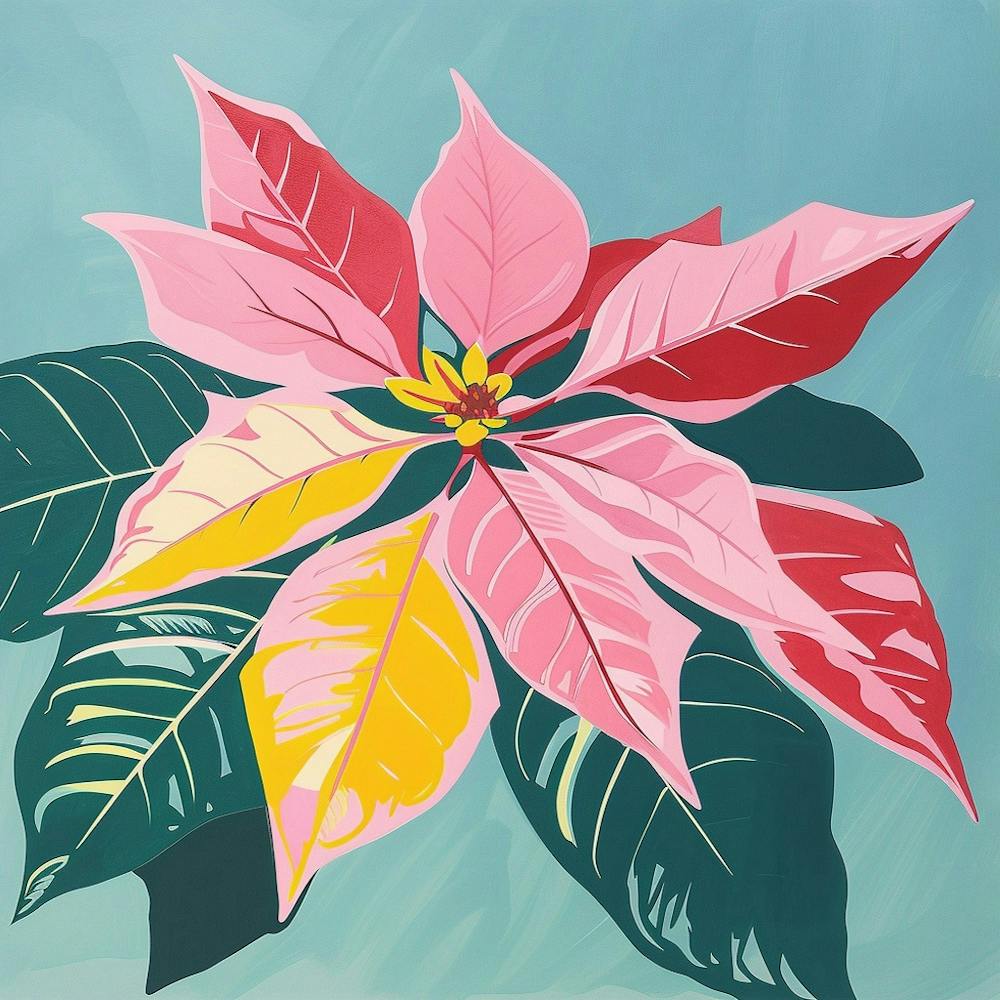 Poinsettia 2 Square Flower Illustration