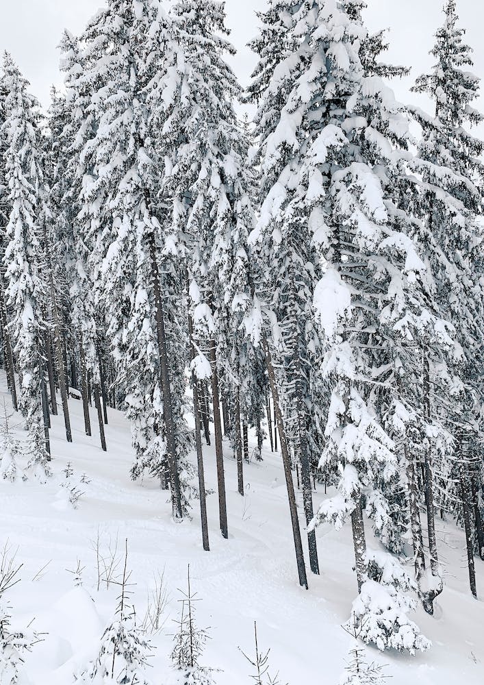 Snow