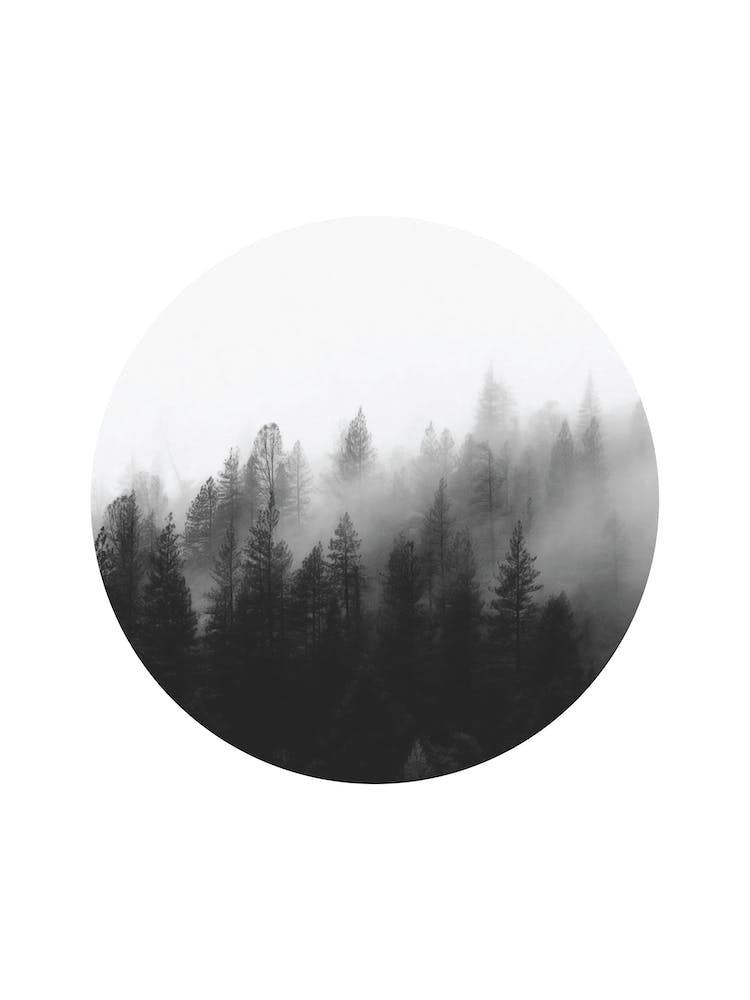 Forest In A Circle