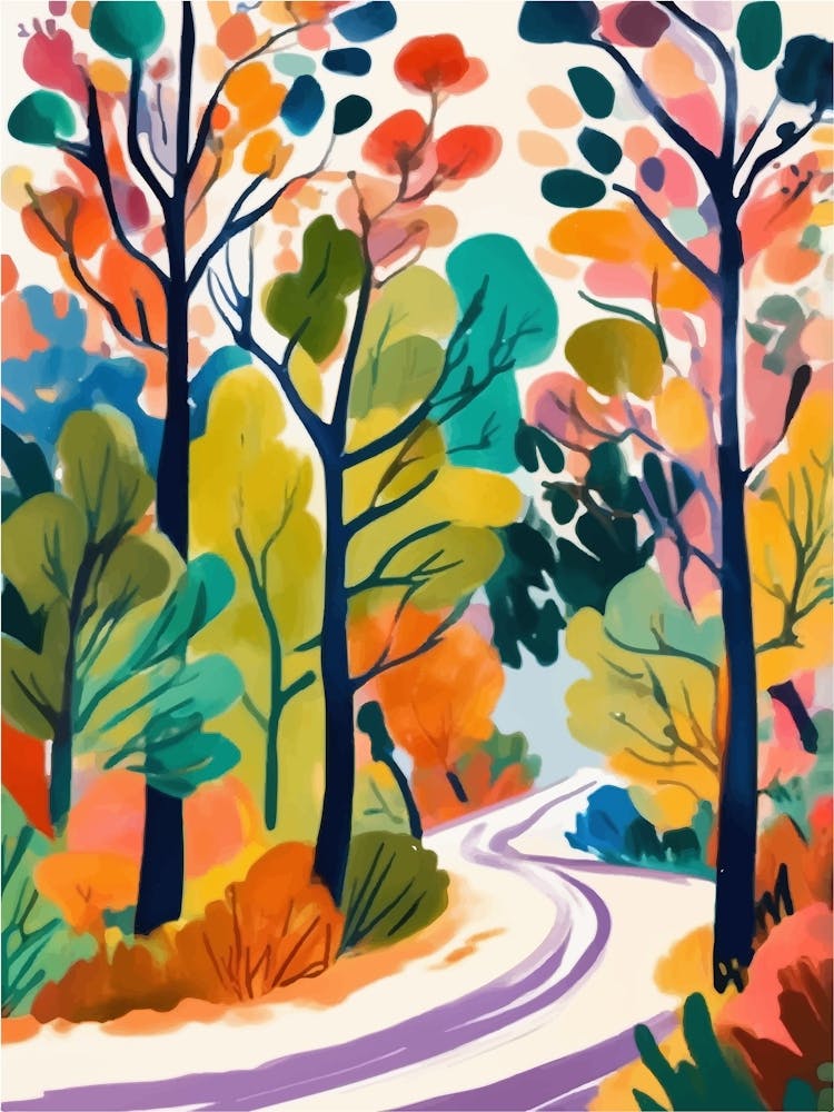 Road In The Woods