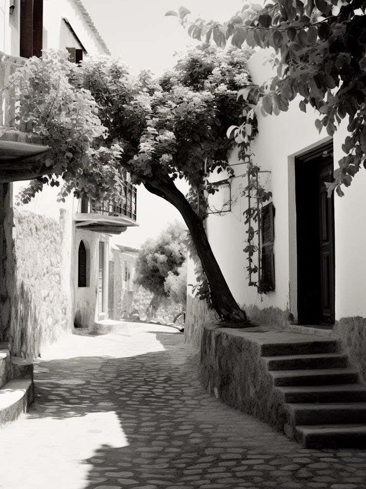Bodrum, Turkey, Mediterranean Black And White Photography Analogue 1