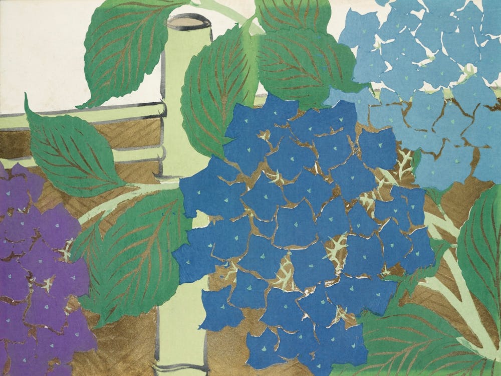 Hydrangea From Momoyogusa –Flowers Of A Hundred Generations, Kamisaka Sekka