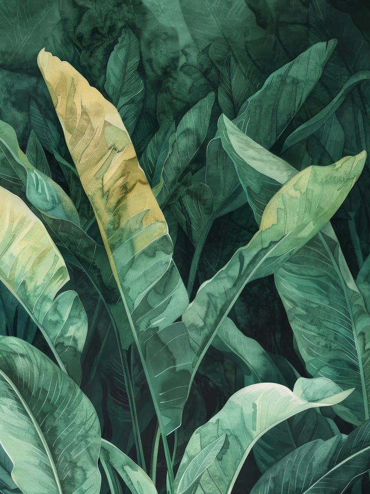 Banana Leaves 2