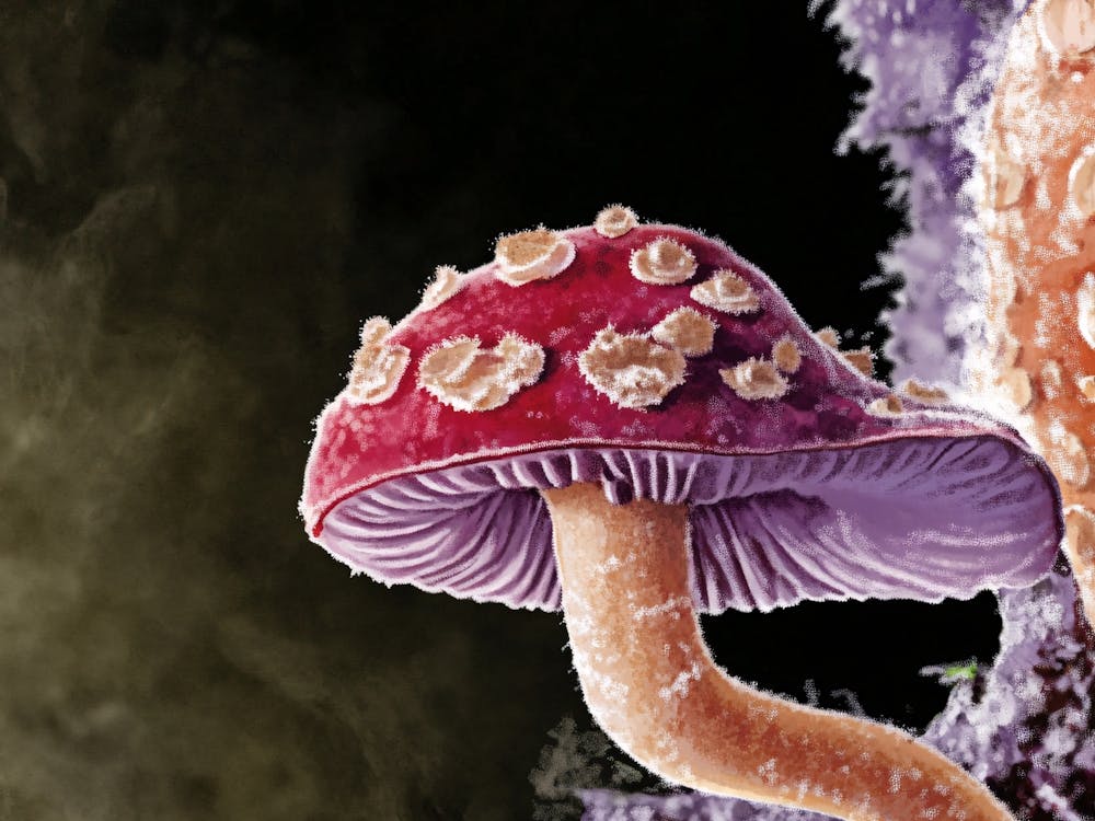 Fungus 2