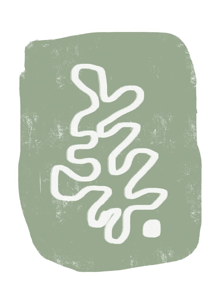 Curved Plant Leaf Sage