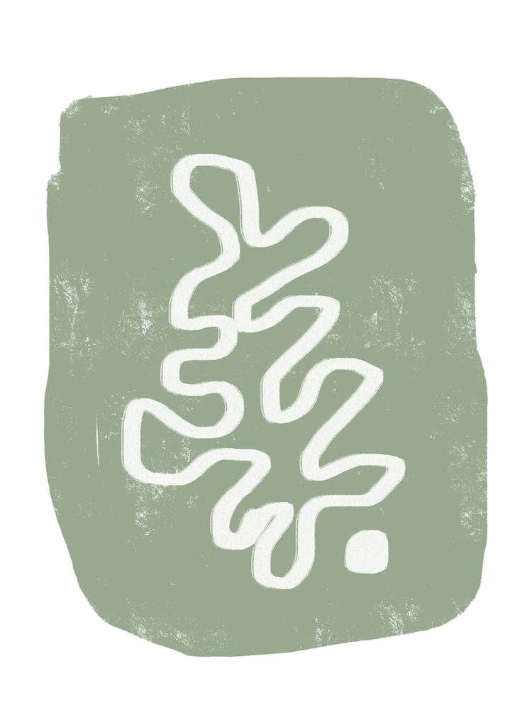 Curved Plant Leaf Sage