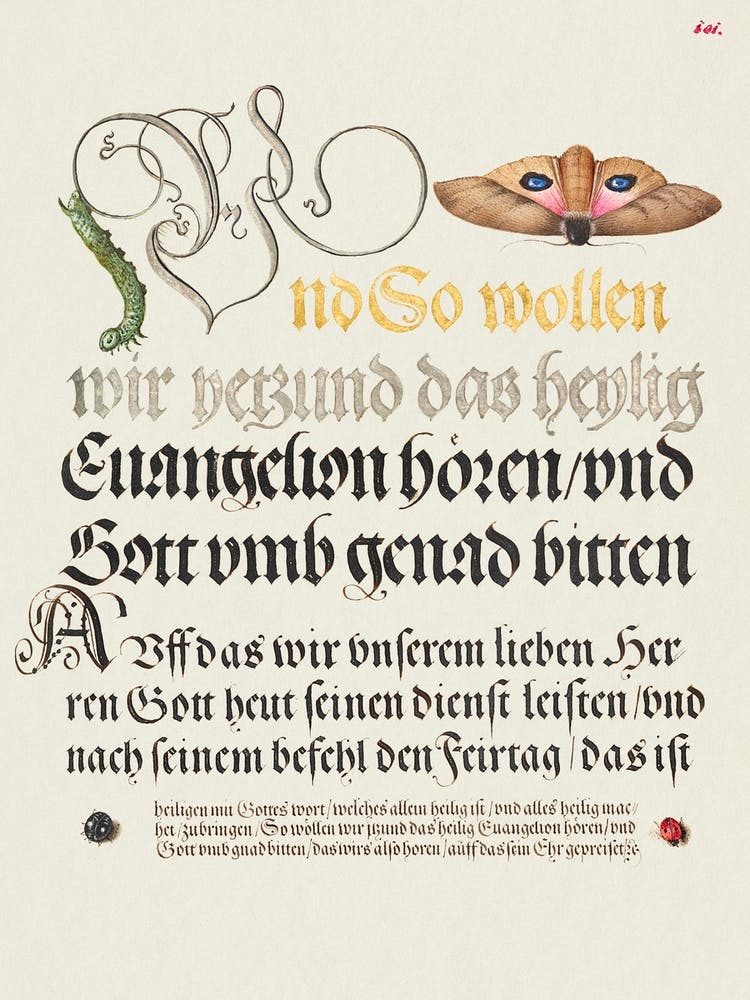 Horntail Caterpillar, Eyed Hawk Moth, Beetle, Two Spot Ladybird From Mira Calligraphiae Monumenta, Joris Hoefnagel