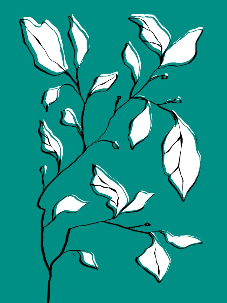 Green Dry Plant