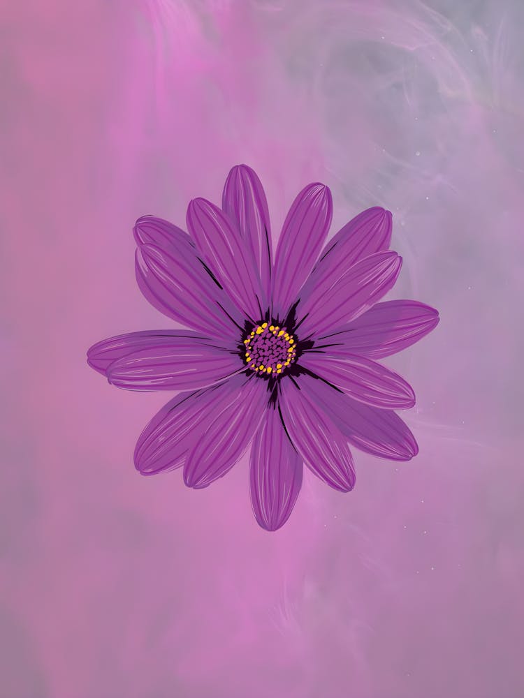 Violette Gänseblume