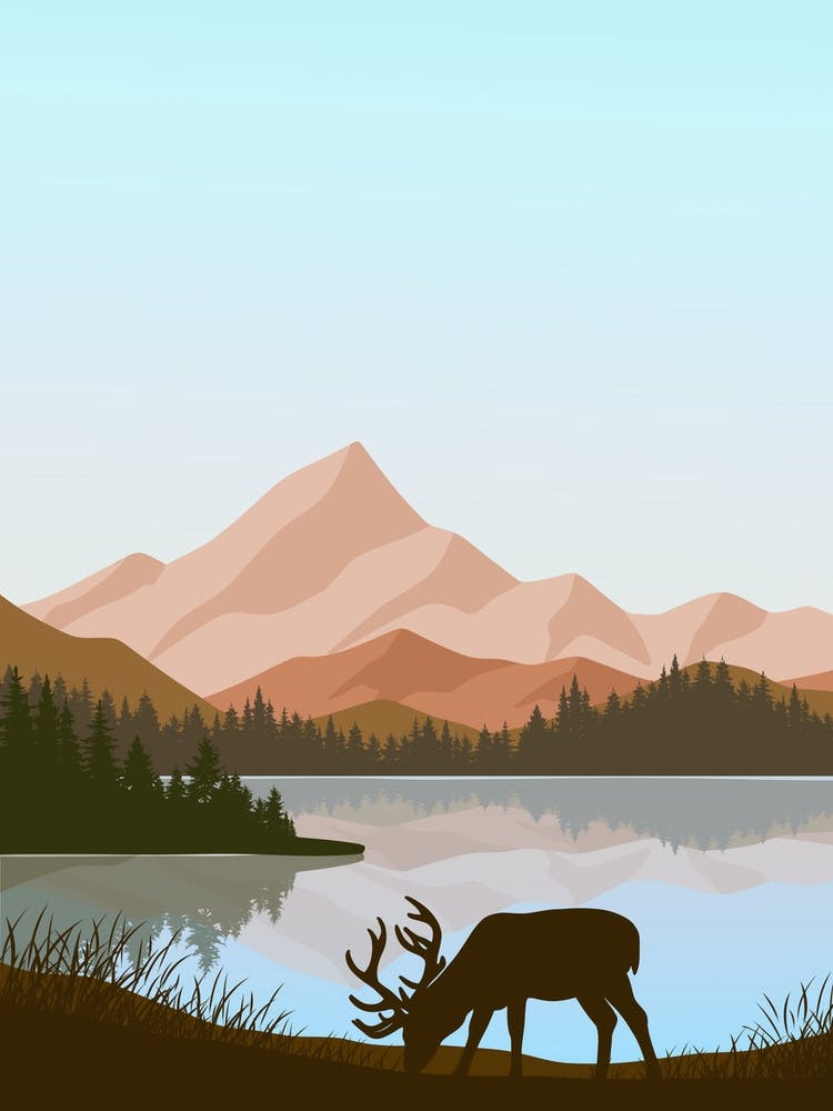 Deer By The Lake 1