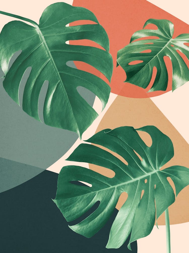 Botanical and tropical floral 5