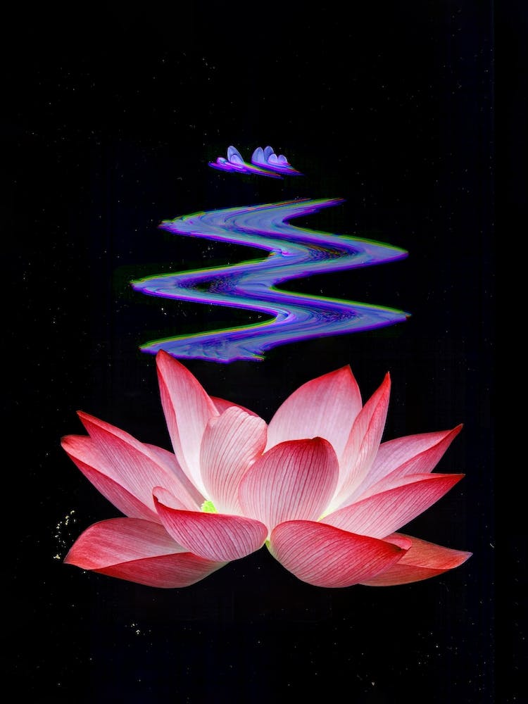 Flower Studies 6