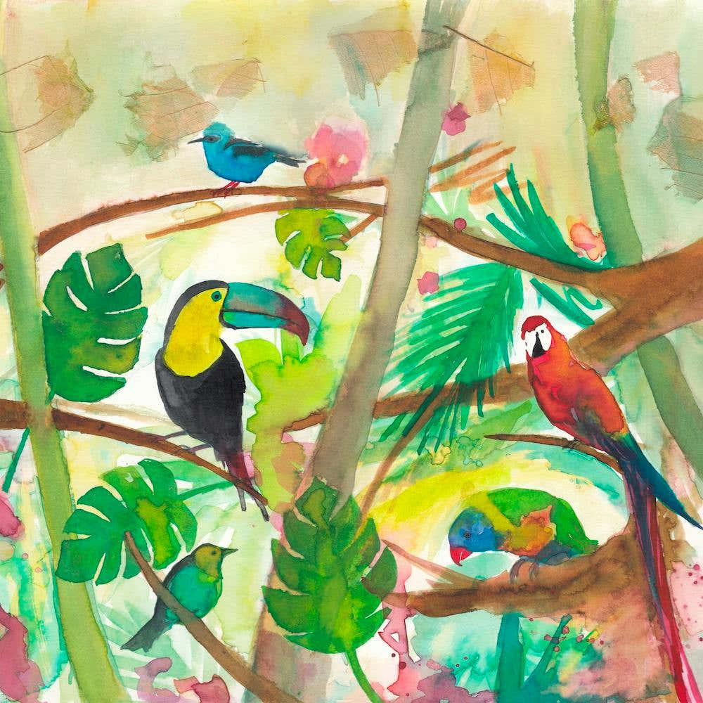 Tropical Birds