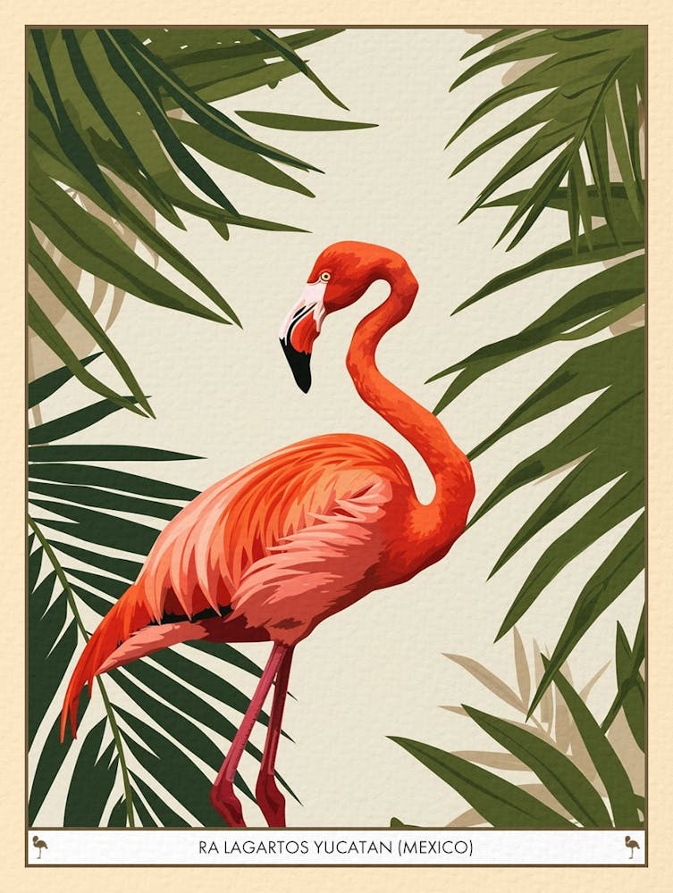 Greater Flamingo Ra Lagartos Yucatan Mexico Tropical Illustration 3 Poster