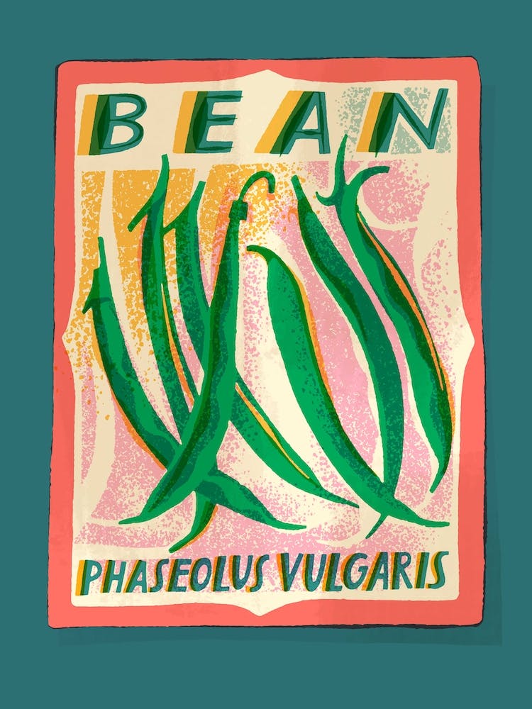 Bean Seed Packet
