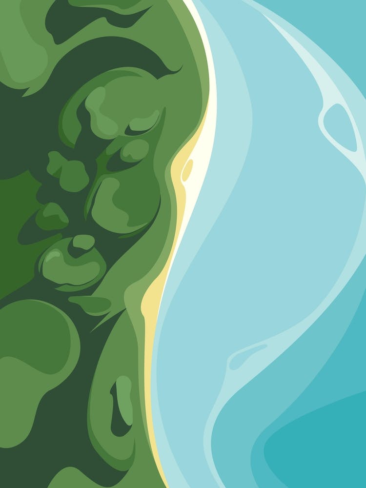 Forest And Ocean