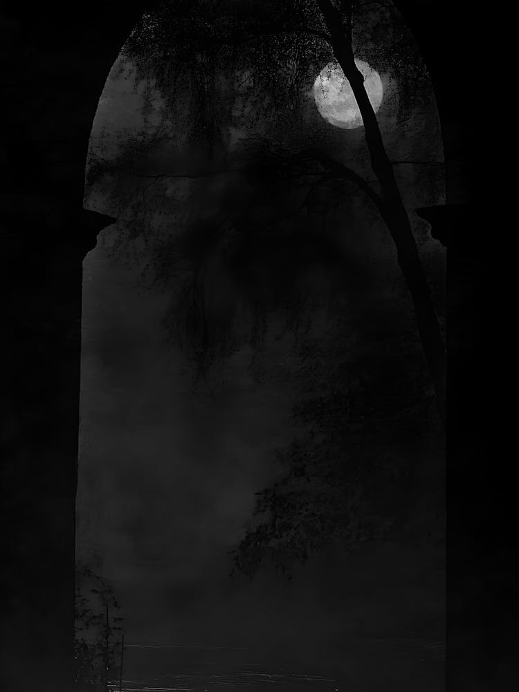 Moonlight Through The Arch